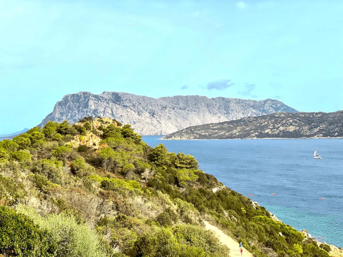شقة San Teodoro Punta Est Fantastico Trilocale Vista Mare كابو كودا كافالو المظهر الخارجي الصورة