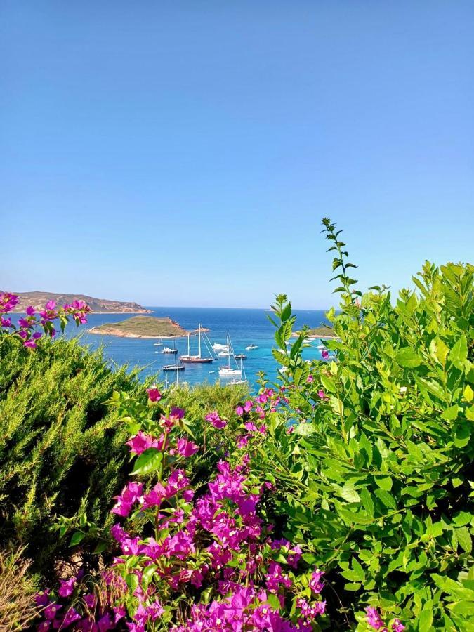 شقة San Teodoro Punta Est Fantastico Trilocale Vista Mare كابو كودا كافالو المظهر الخارجي الصورة