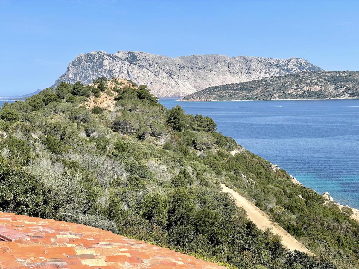 شقة San Teodoro Punta Est Fantastico Trilocale Vista Mare كابو كودا كافالو المظهر الخارجي الصورة
